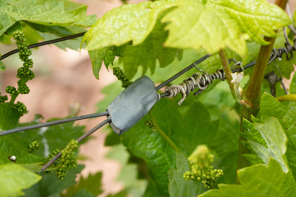 tensor y conector de alambre TA-TU